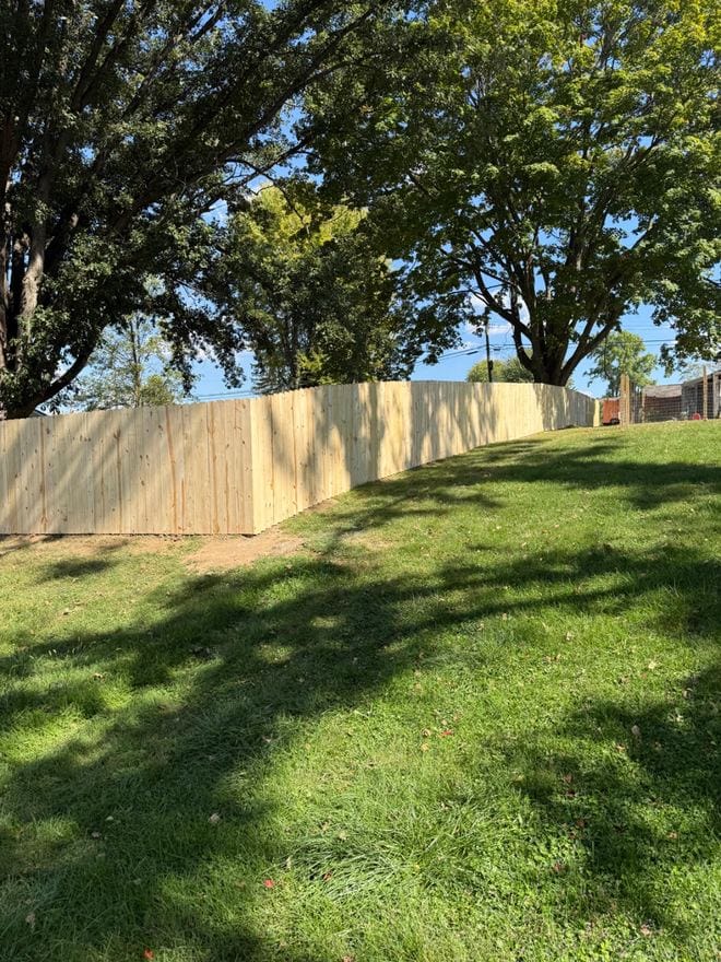 Treated wood privacy fence